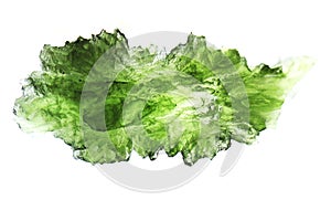 czech moldavite isolated