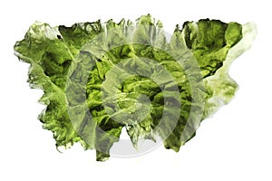 czech moldavite isolated