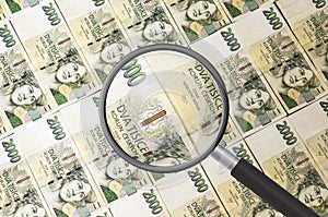 Czech money background with magnifying glass