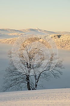 Czech mountains in winter