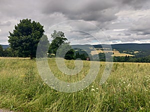 Czech republic field, meadow