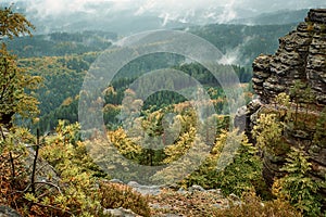 Czech Switzerland Bohemian Switzerland or Ceske Svycarsko National Park. Misty landscape with fir forest