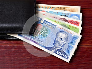 Czechoslovak koruna in the black wallet