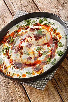 CÃÂ±lbÃÂ±r is a Turkish dish of poached eggs with yogurt closeup in the plate. Vertical photo