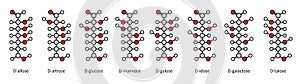 D-aldohexose sugars: allose, altrose, glucose, mannose, gulose, idose, galactose, talose. Fischer-like projections.