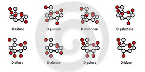 D-aldohexose sugars: allose, altrose, glucose, mannose, gulose, idose, galactose, talose. Haworth-like projections.