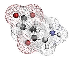 d-aminolevulinic acid (ALA) drug molecule. Used in diagnosis and treatment (photodynamic therapy) of cancer. Atoms are represented photo