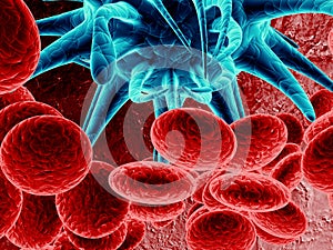 Blue bacteria in blood