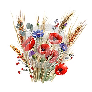 bouquet of wild flowers, cornflower poppies, red and blue, watercolor illustration,