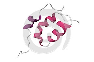 Structure of mouse pheromone ESP1