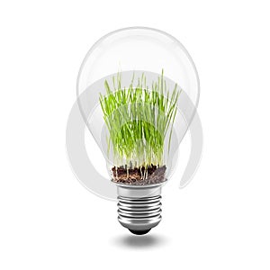 3d close up image of green grass inside a light bulb