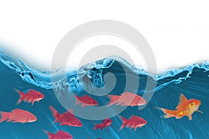 3D Composite image of goldfish against white background
