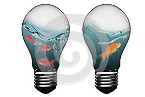 3D Composite image of light bulb with goldfish inside