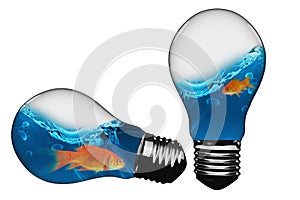 3D Composite image of light bulb with goldfish inside
