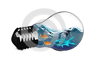 3D Composite image of light bulb with goldfish inside