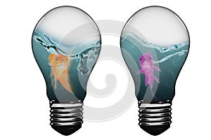 3D Composite image of light bulb with goldfish inside