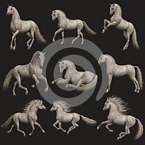 Fleabitten Grey Horse, 3d CG