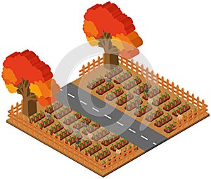 3D design for farm scene with carrots