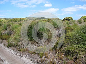 D'Entrecasteaux National Park, Western Australia