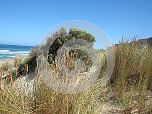 D'Entrecasteaux National Park, Western Australia