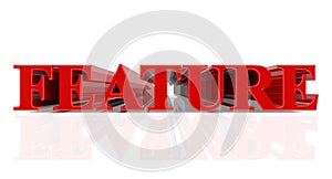 3D FEATURE word on white background 3d rendering