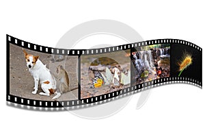 3D FILM STRIP