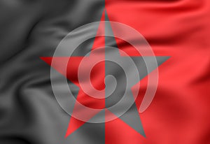 Flag of EZLN. 3D Illustration