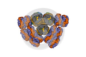 Cryo-EM structure of cyanobacterial phycobilisome from Synechococcus sp. PCC 7002 photo