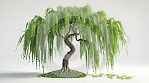 green tree white background , 3d render