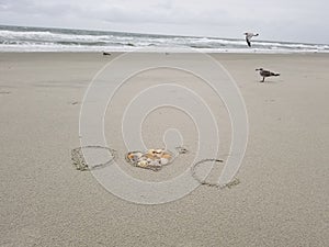 D heart`s C initials on sand with heart filled in with seashells seagulls in background