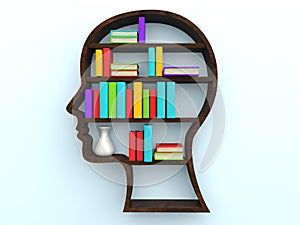 3d human head shape bookshelf and books
