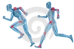 3D human man pain anatomy isolated