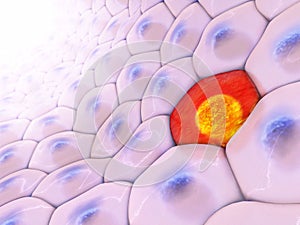 3d illustration of a frontal view on cell pattern with on red ce