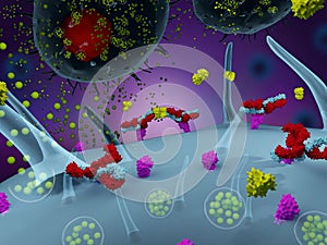Activated mast cells