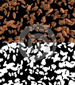 3D illustration of a almond flow with alpha layer