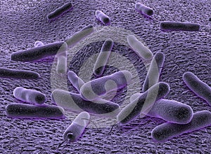 3D illustration of Bacteria. it is vibrios type category. photo