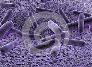 3D illustration of Bacteria. it is vibrios type category. photo