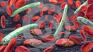 3d illustration of blood cells, plasmodium causing malaria