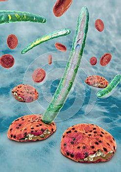 3d illustration of blood cells, plasmodium causing malaria