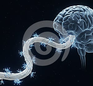 Brain Stimulation and Connectivity: The Power of Neuroscience