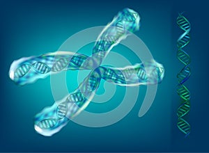 3D illustration of chromosomes. Genetics.