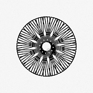 3D illustration circle pattern mandala flower floral photo