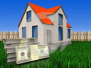 3d dollars over lawn and fence