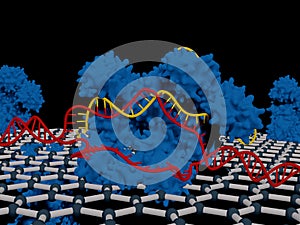 A CRISPR-graphene chip photo