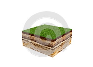 3d illustration of cross section of ground with grass isolated o