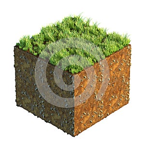 3d illustration of cross section of ground with grass isolated on white