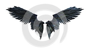 Demon Wings photo