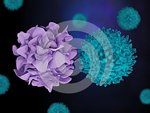 A dendritic cell interacts with a T cell