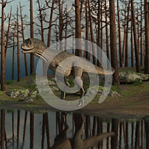 3d-illustration of an dinosaur carnotaurus