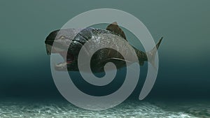 3d illustration of a dunkleosteus fish photo